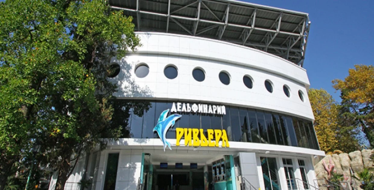 Парк "Ривьера" Дельфинарий