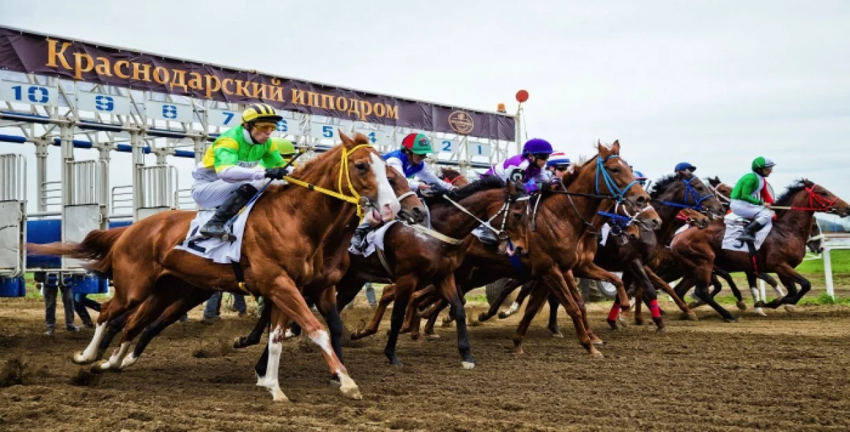 Краcнодарcкий ипподром