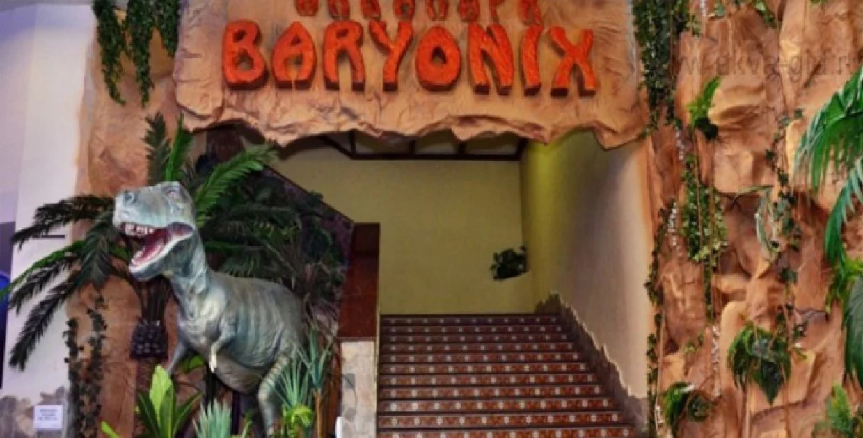 Аквапарк "Baryonix"