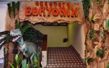 Аквапарк "Baryonix" Аквапарк "Baryonix"